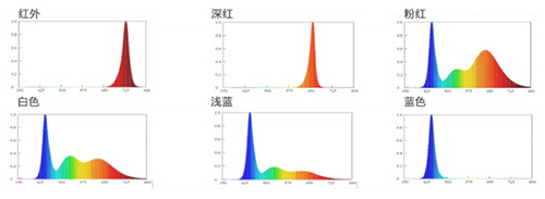 永乐高ylg888888(中国)有限公司