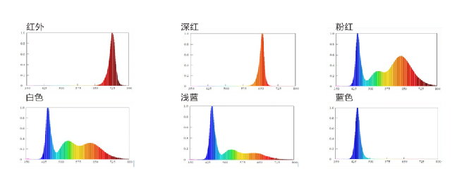 永乐高ylg888888(中国)有限公司