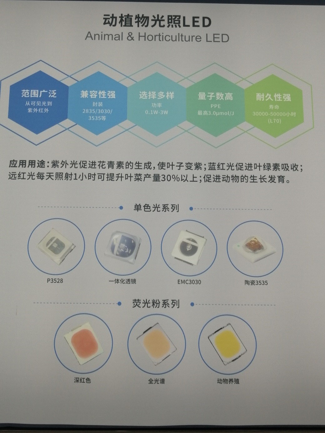 永乐高ylg888888(中国)有限公司