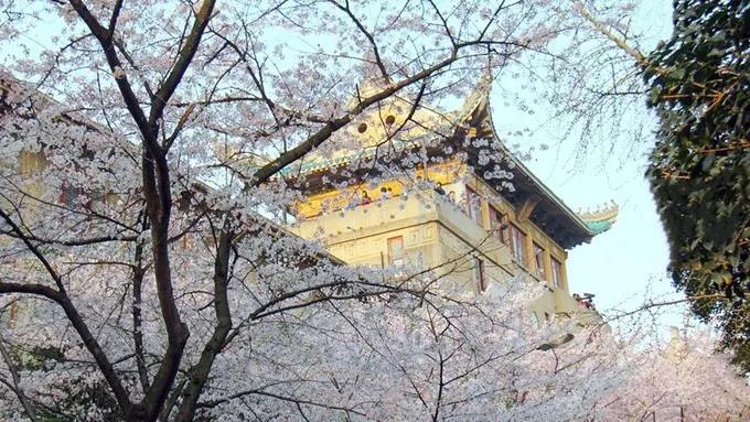 永乐高ylg888888(中国)有限公司