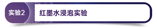 永乐高ylg888888(中国)有限公司