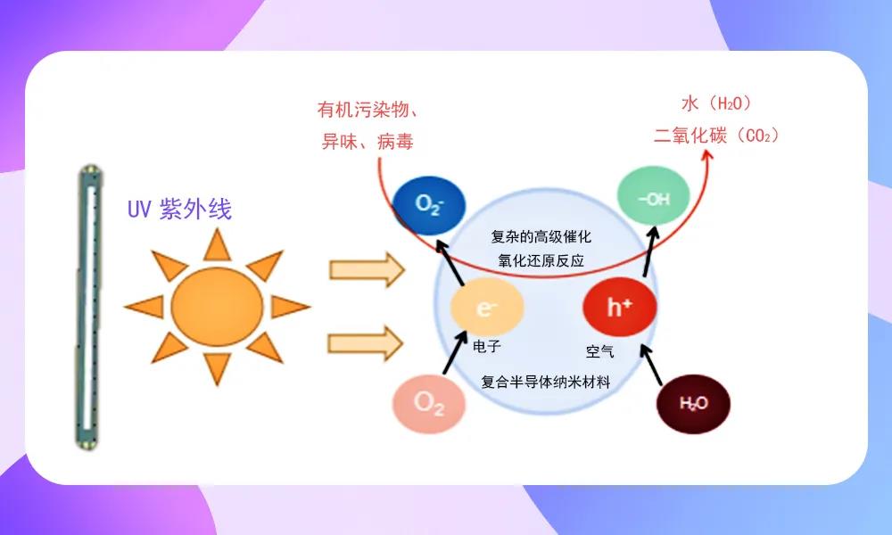 永乐高ylg888888(中国)有限公司