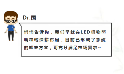 永乐高ylg888888(中国)有限公司