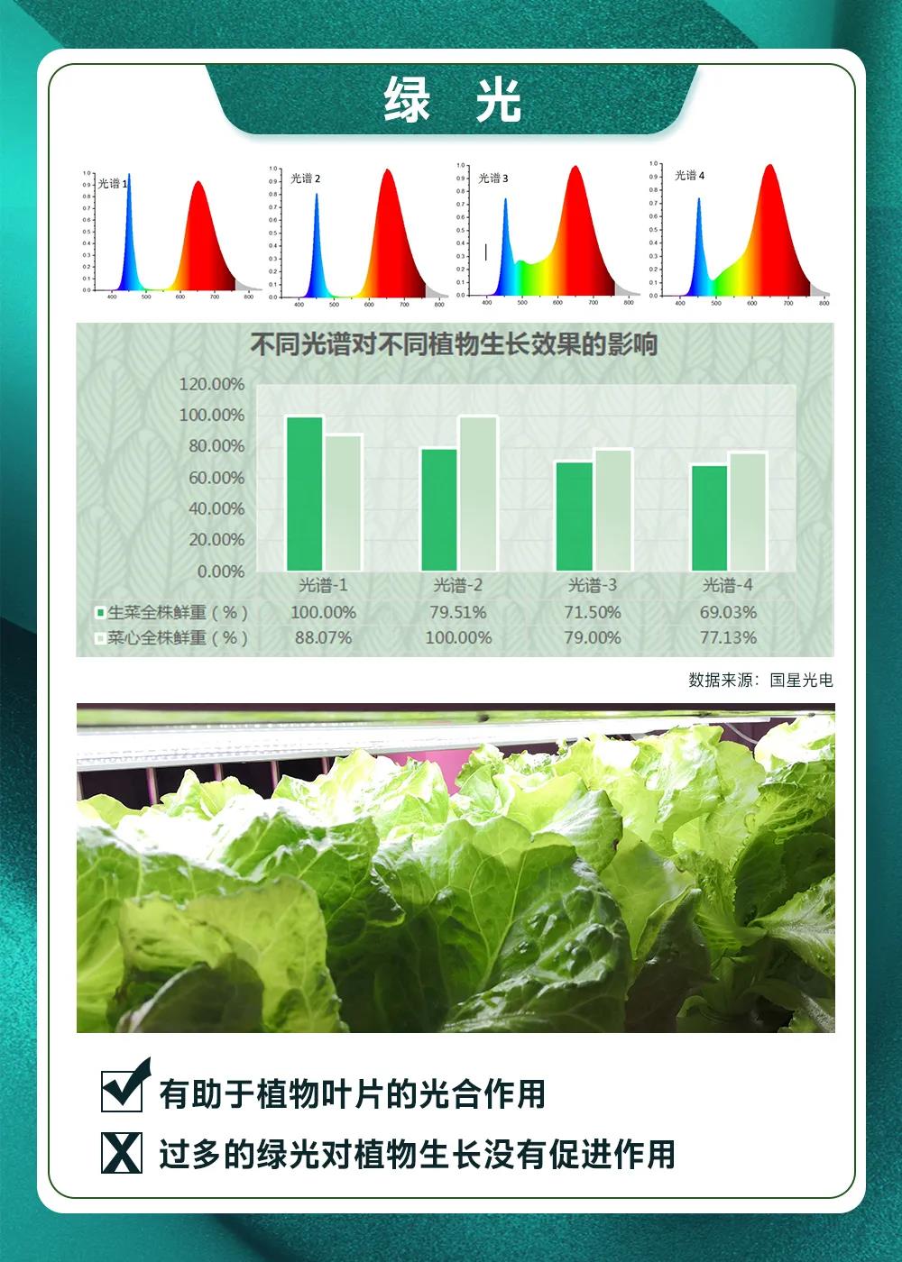 永乐高ylg888888(中国)有限公司