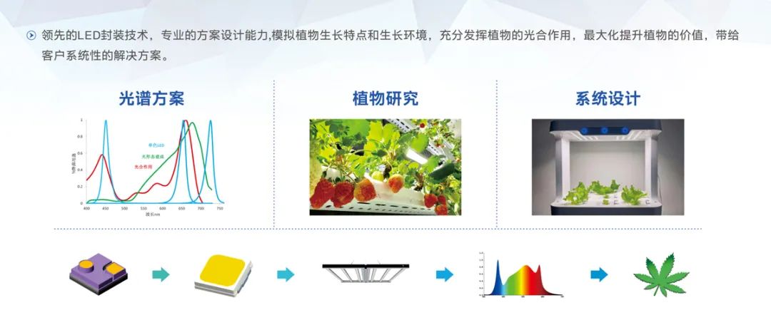 永乐高ylg888888(中国)有限公司