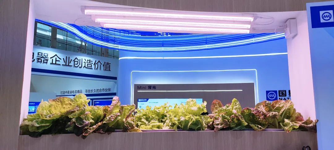 永乐高ylg888888(中国)有限公司