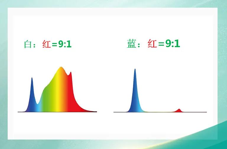 永乐高ylg888888(中国)有限公司