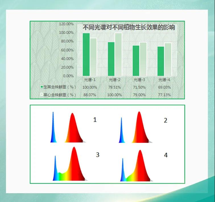 永乐高ylg888888(中国)有限公司