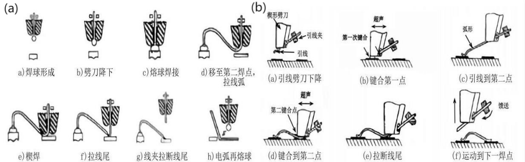 永乐高ylg888888(中国)有限公司